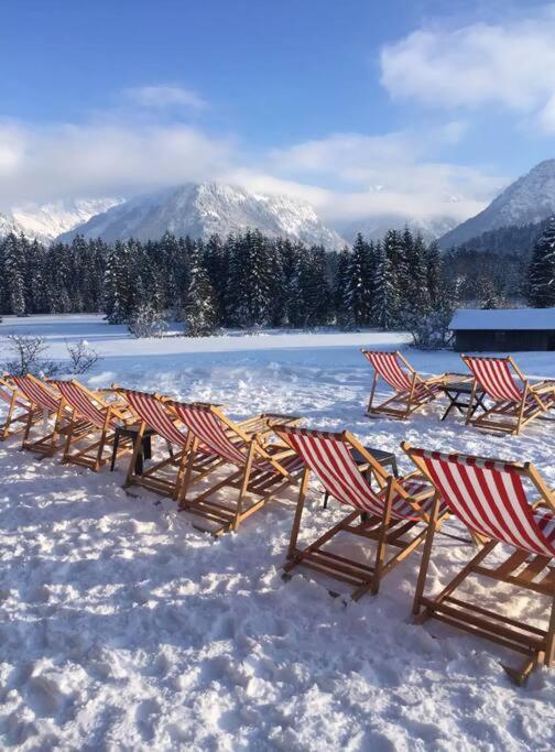 Gruenes Stueble Allgaeuer Alpen Sonthofen